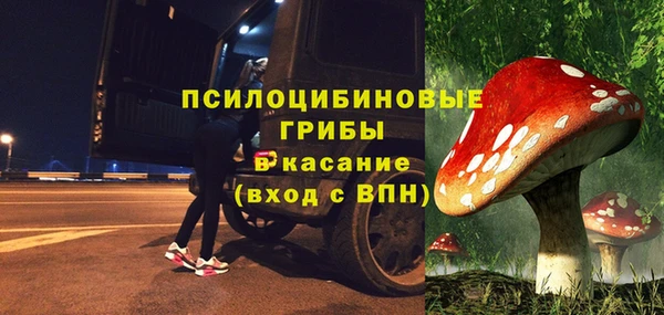 мдпв Армянск