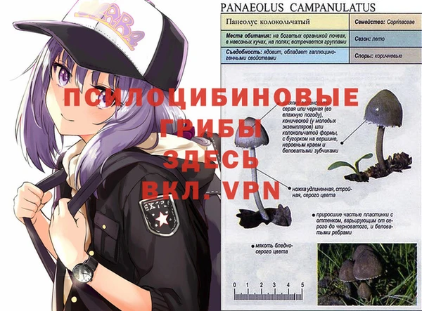 мдпв Армянск