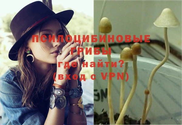 мдпв Армянск